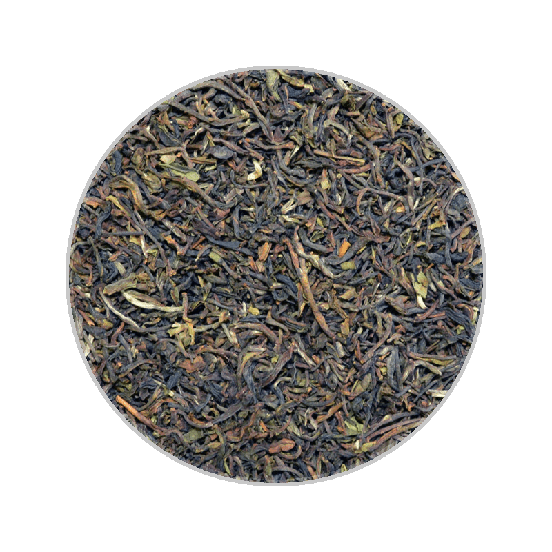 Darjeeling TGFOPI Thurbo 大吉岭TGFOPI 瑟伯