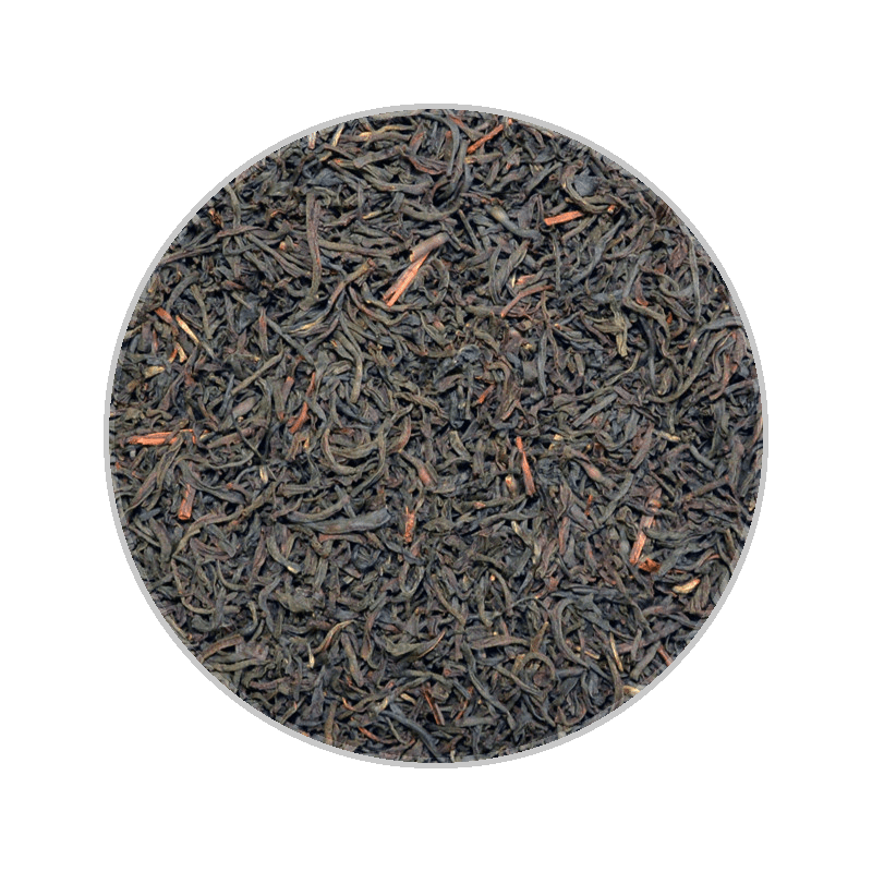 Java OP Malabar 爪哇OP 馬拉巴爾