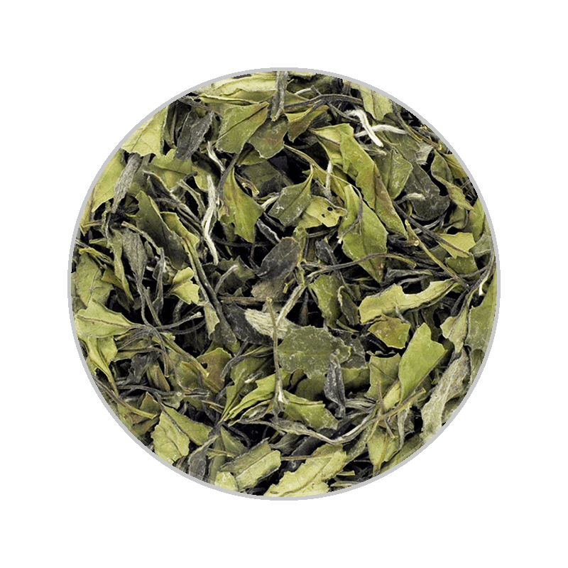 Wilderness White Tea 荒野白茶