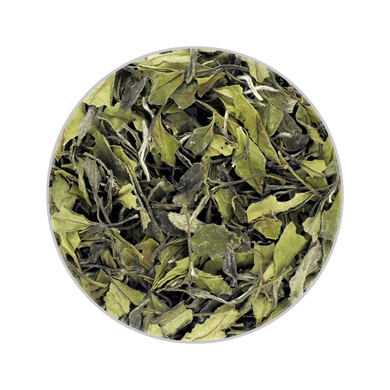 Wilderness White Tea 100g Loose Leaf Pouch