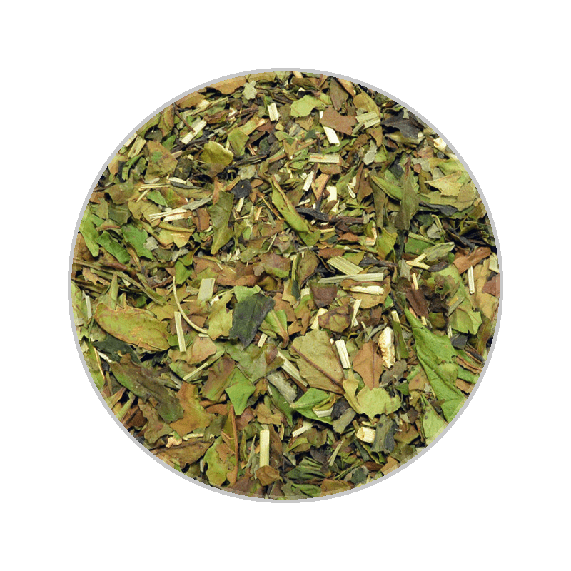 Lemon Rosemary White 檸檬迷迭香白茶