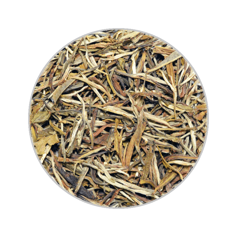 China White Tea Pine Needles 中國白茶松針