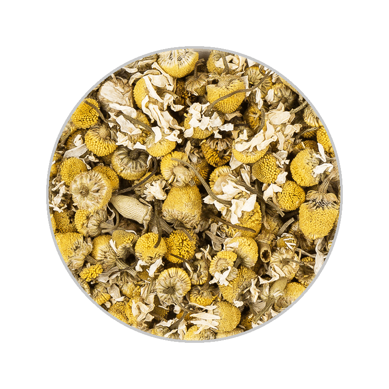 Chamomile Flowers 精製洋甘菊