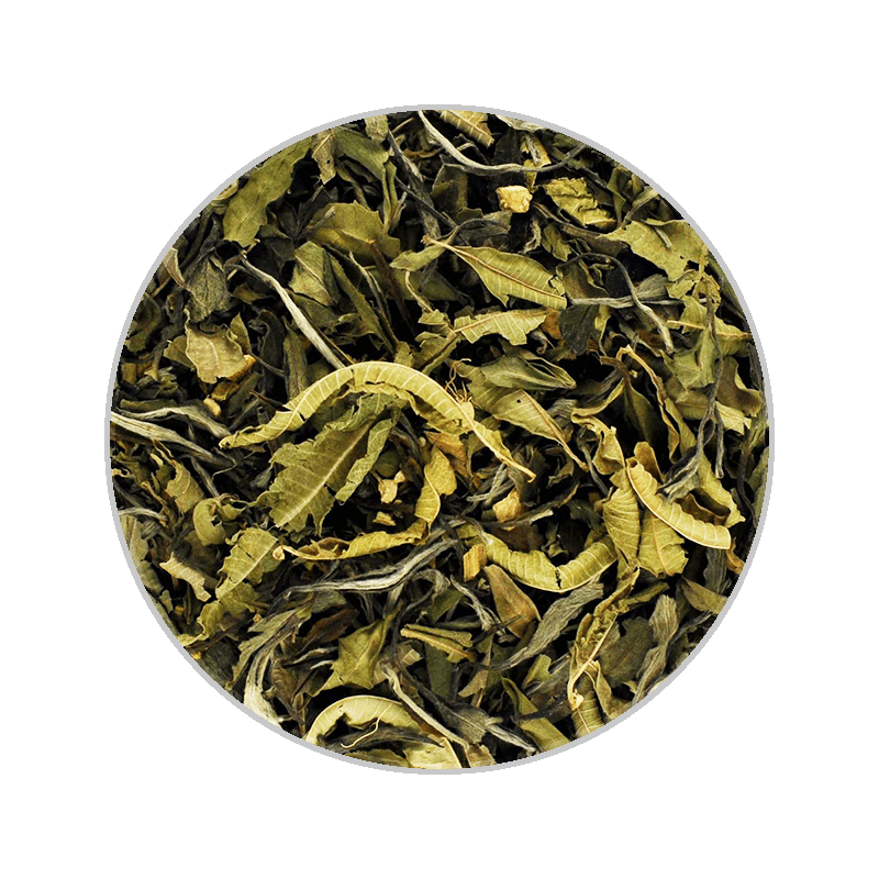 Water Pavilion 40g Pouch Box with Loose Tea